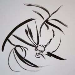 Aerial Bug